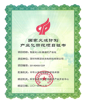 Certificado de Proyecto de Demostración de Industrialización del Programa Nacional de la Antorcha